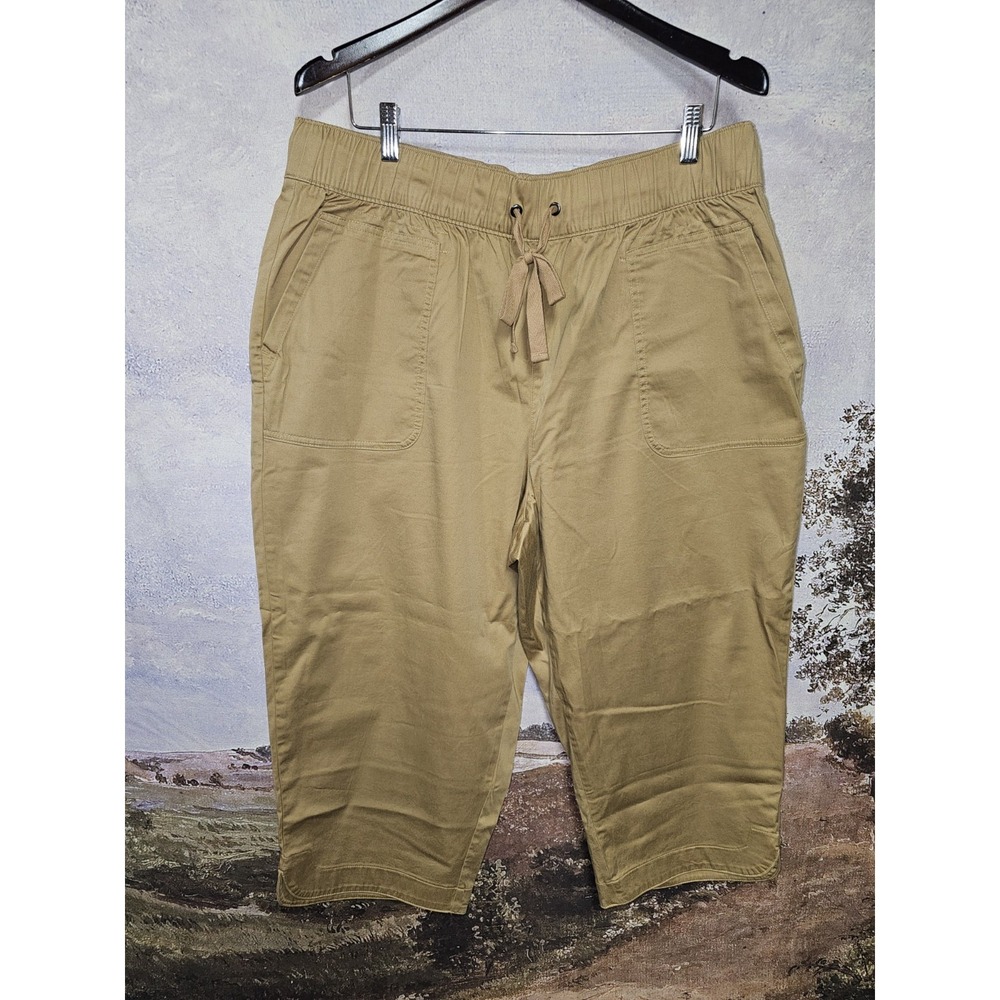 Womens Pants-LANE BRYANT-brown cotton stretch  pull on cropped elastic waist 16